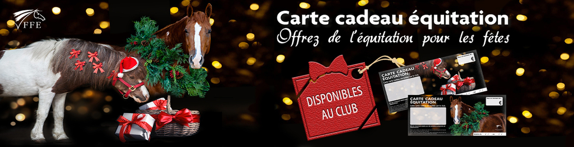 PASSEZ DE BONNES FÊTES DE FIN D'ANNEE